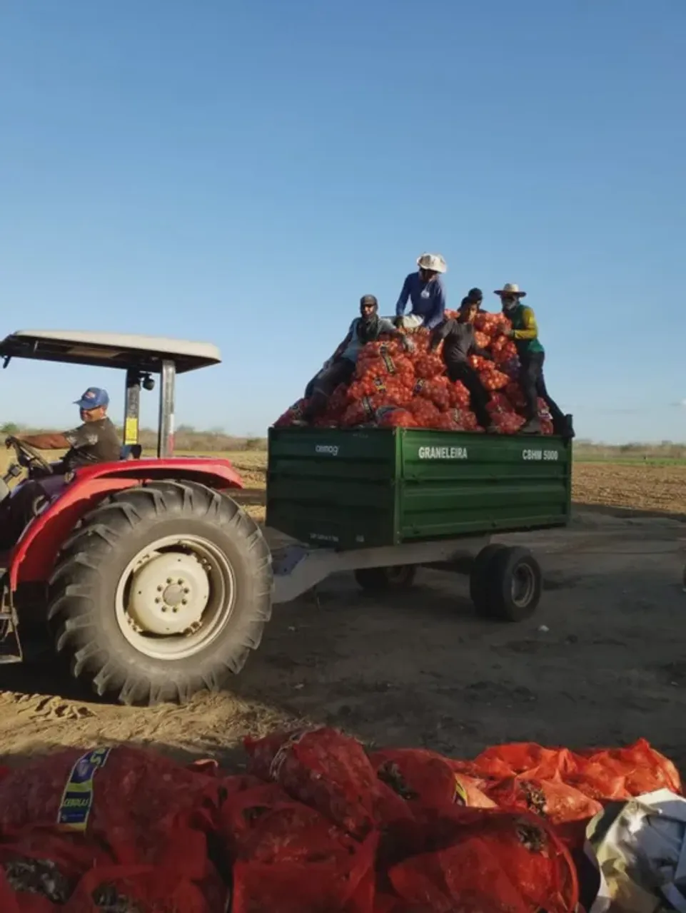 Fazenda com 34 hectares na região de Jandaíra-RN com plantio de cebola