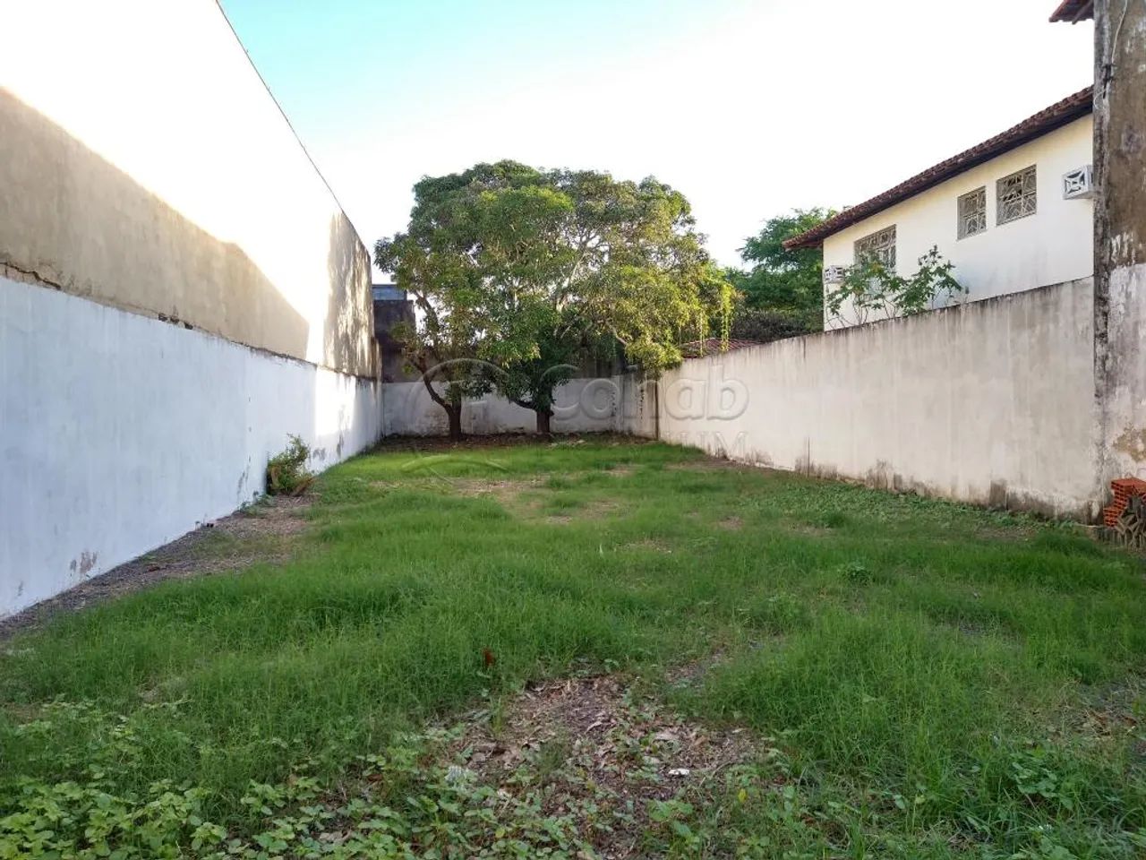 Alugue Terreno de 370m² no Bairro Salgado Filho - Foto 2