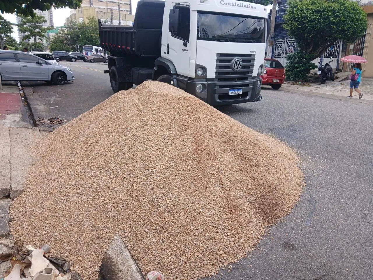 SEIXO COMUM 64220710518659120