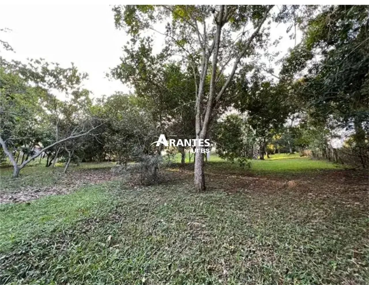Rancho com 8.000m² 4 quartos à venda no INDIANÓPOLIS - Foto 3