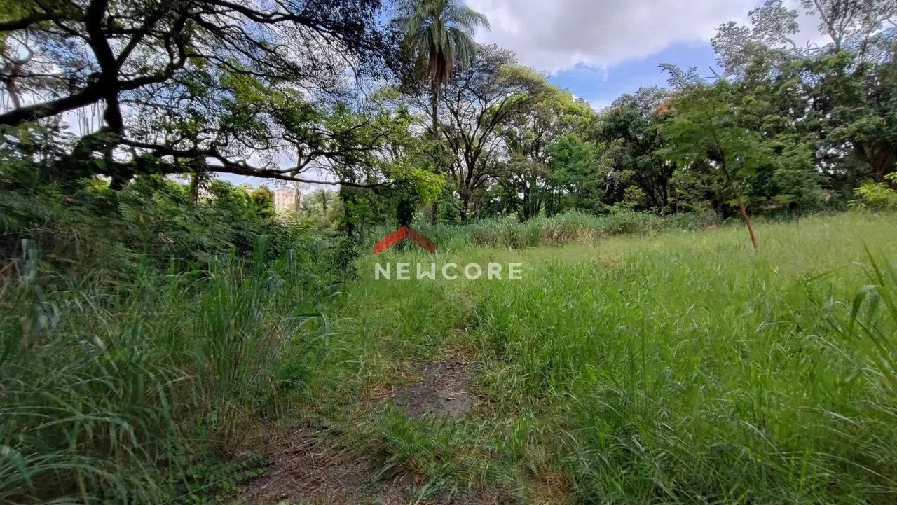 Lote em Rua José Simplício Moreira - Trevo - Belo Horizonte/MG - Foto 10