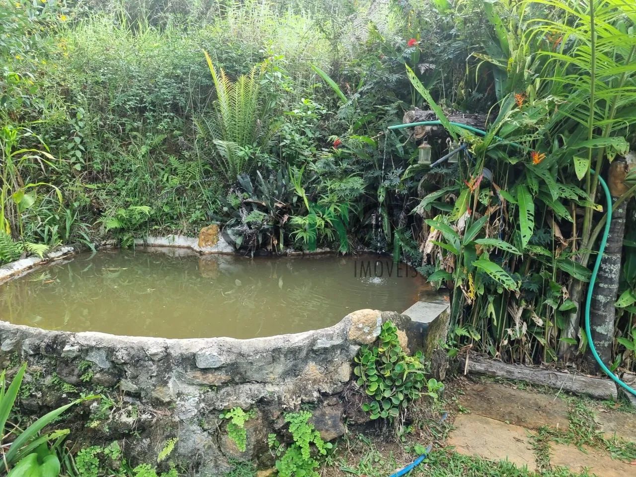 Maravilhosa fazenda de 67 ha na região de Juiz de Fora MG - Foto 2