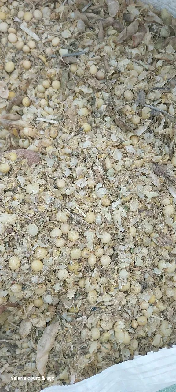 Soja) para Alimentação Animal - Foto 2