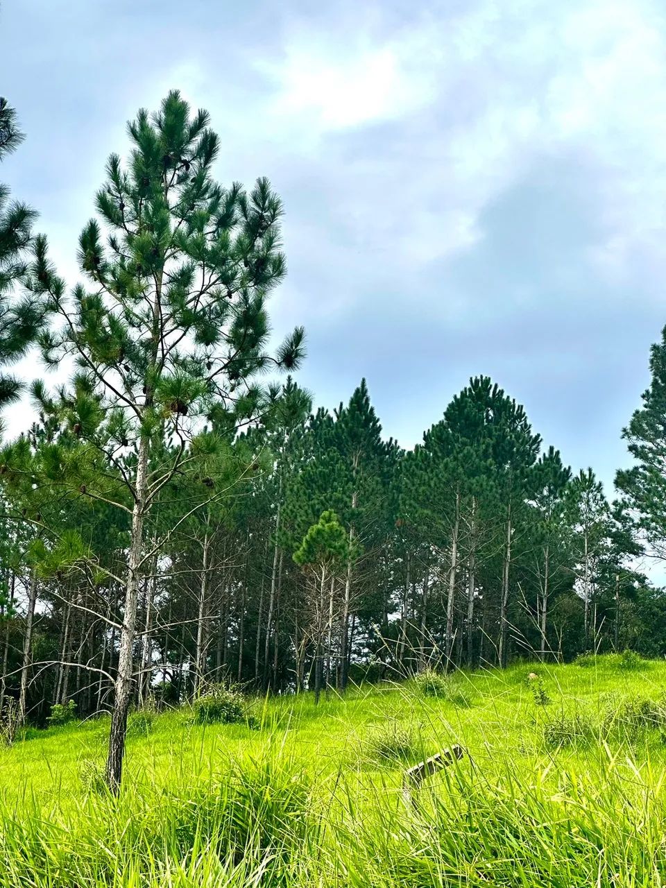 Invista em uma Área Valorizada  Garanta o Seu! - Foto 4
