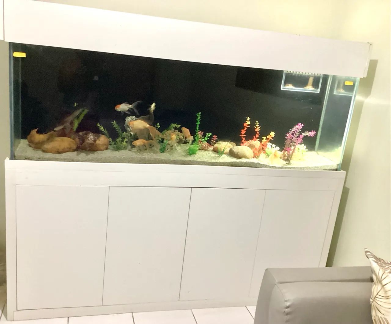 Oportunidade Vendo Lindo Aquario completo com móvel 