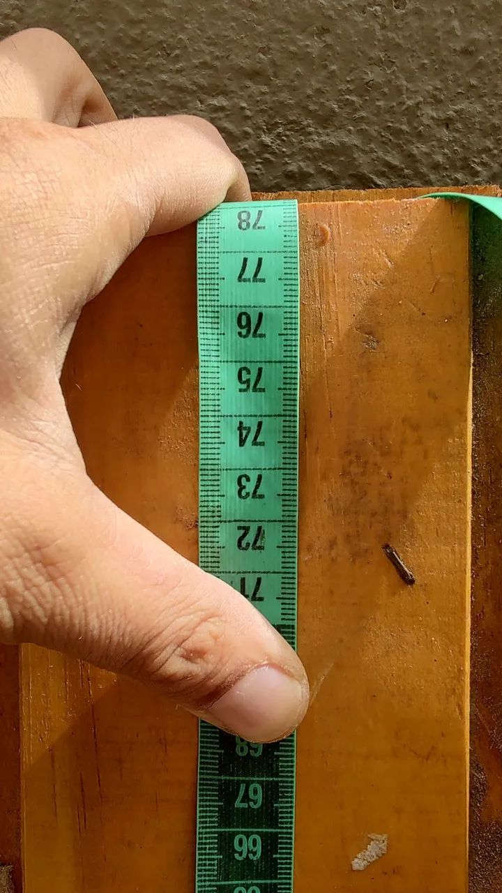 Casinha de cachorro em madeira - Foto 2