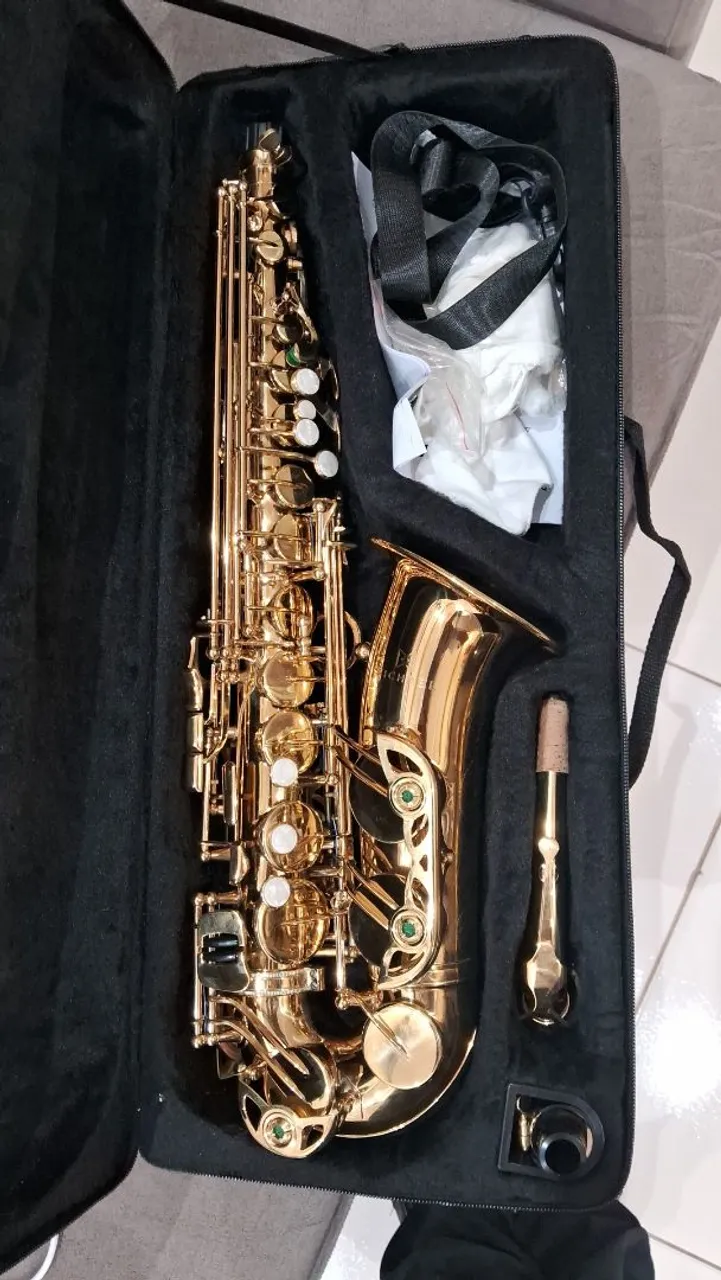 Saxofone Dourado Profissional - Em perfeito estado!
