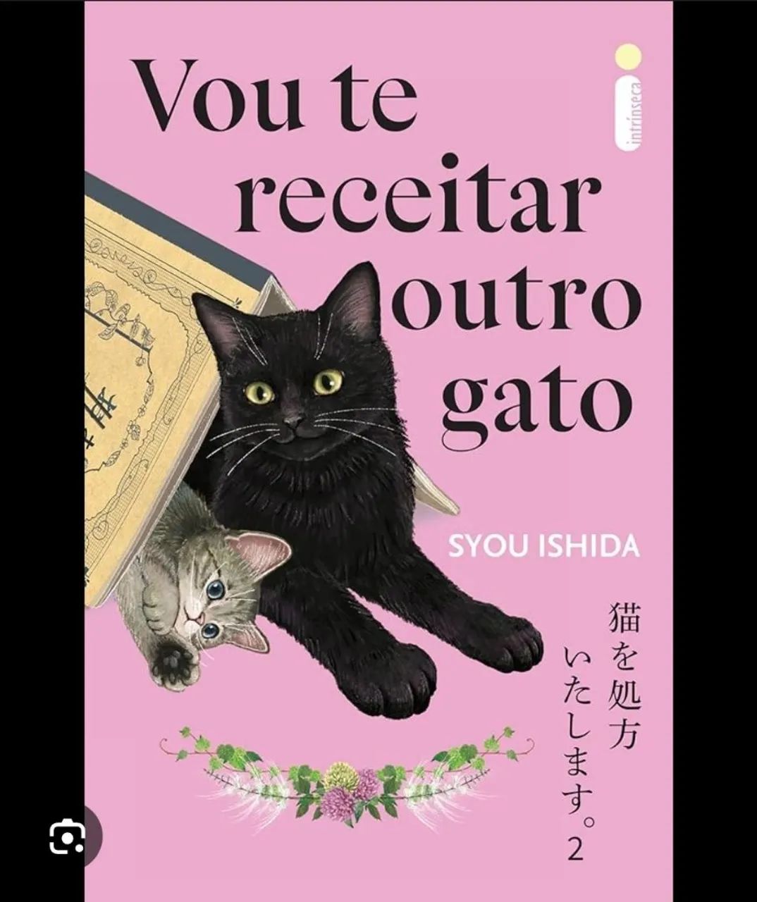 Livro: vou te receitar outro gato