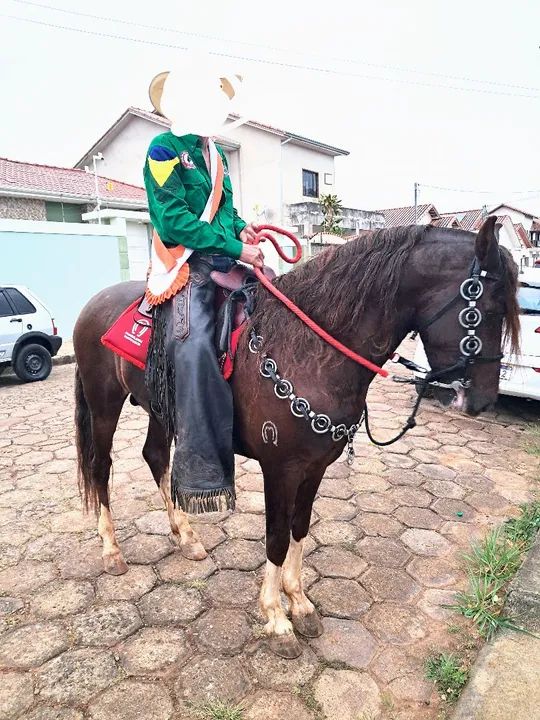 Cavalo Garanhão... Mangalarga Marchador... Registrado... 5 anos...!!