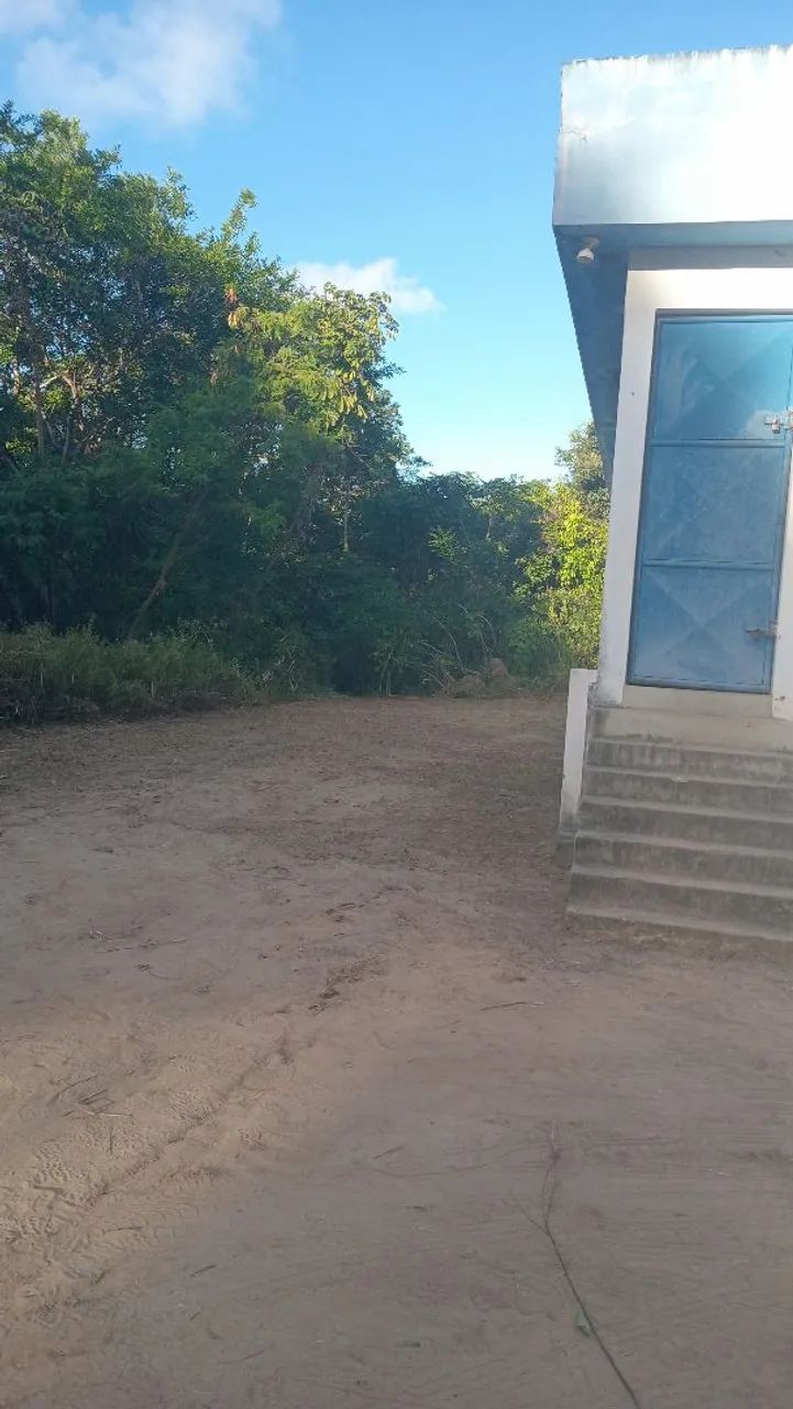 Limpezas de terrenos  