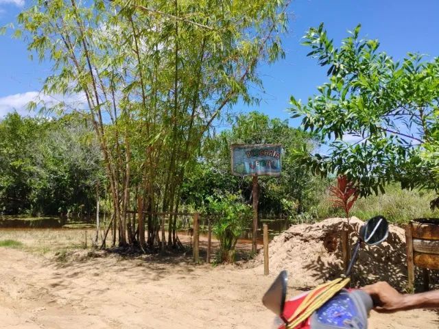 Vendo - Lote - Murado - Barra de Pojuca - Foto 12
