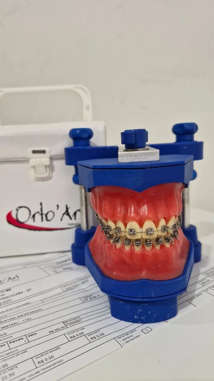 Manequim Ortodontia typodont 