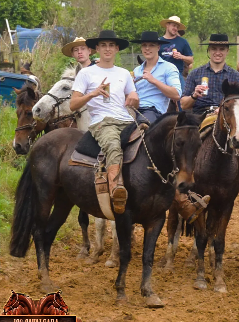 Cavalo criolo e Acessórios