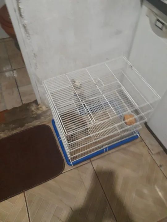 Gaiola com 2 tuwister  - Foto 4