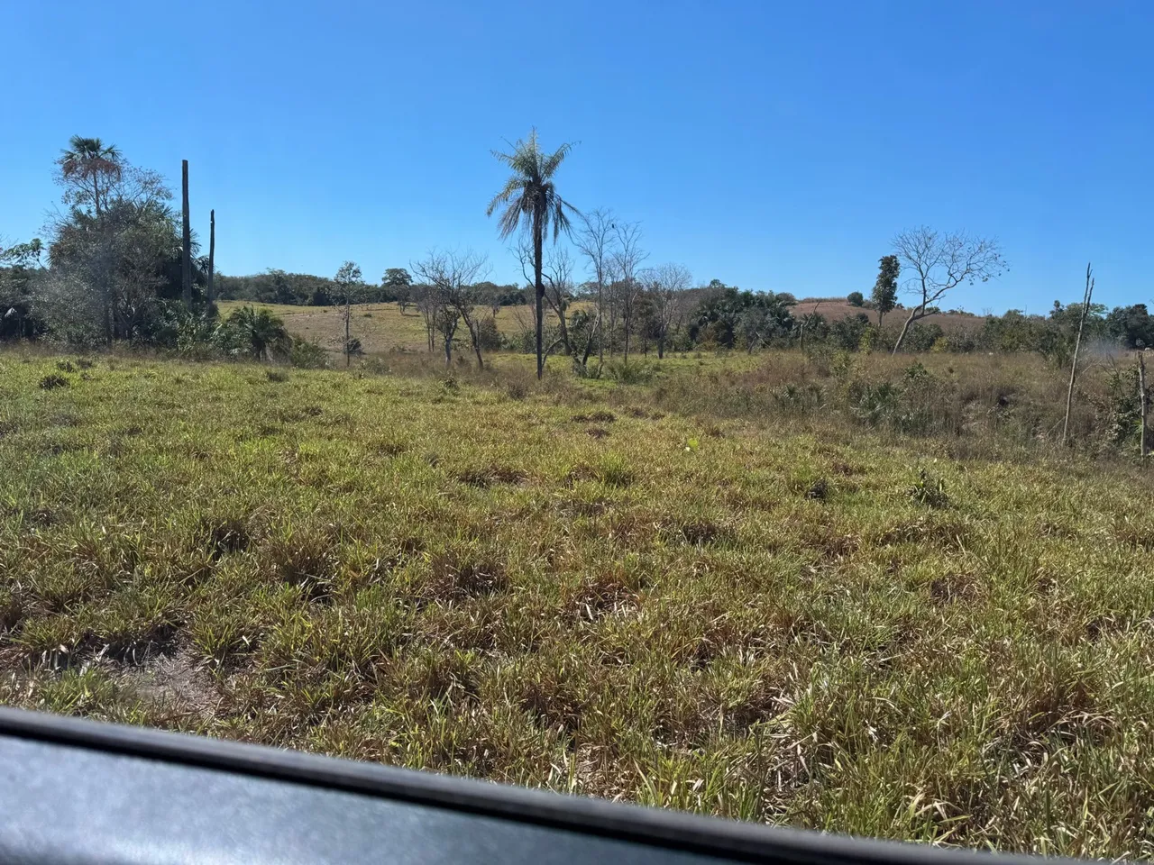 Charcará 2.3 Alq com 2 alq de pasto 10 Lm de Parauak