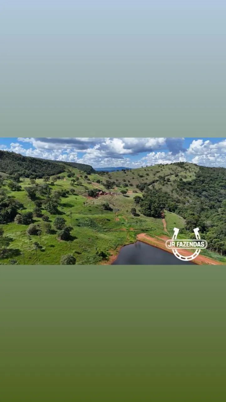 Ótima Fazenda disponível (pecuária) - Foto 3