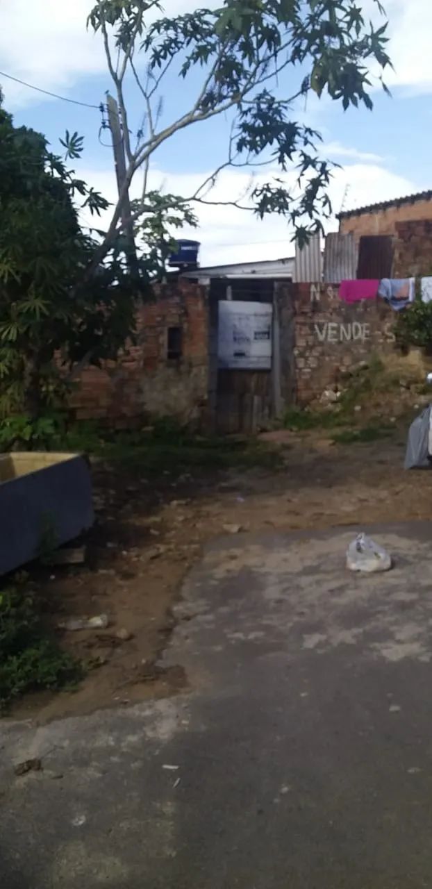Terreno no Bairro Floresta   - Foto 3