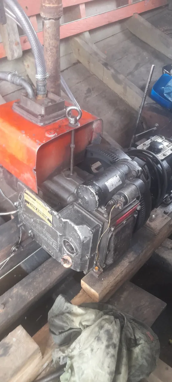 Motor de 22 hp gold lion partida elétrica e manual