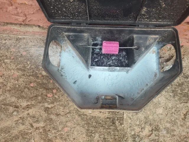 Segurança Eletrônica e Controle de pragas  - Foto 3