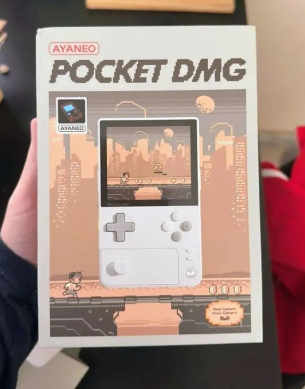 Ayaneo pocket dmg 1 Tera