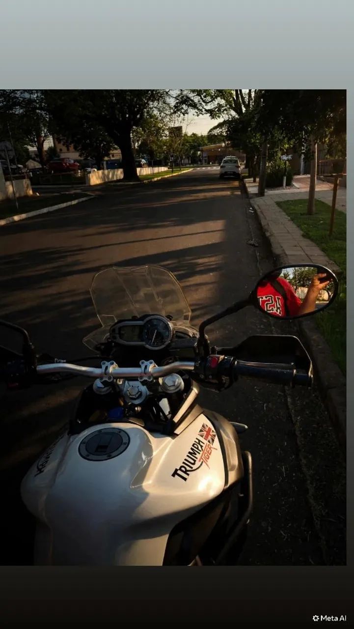 TRIUMPH TIGER 800 - Foto 3