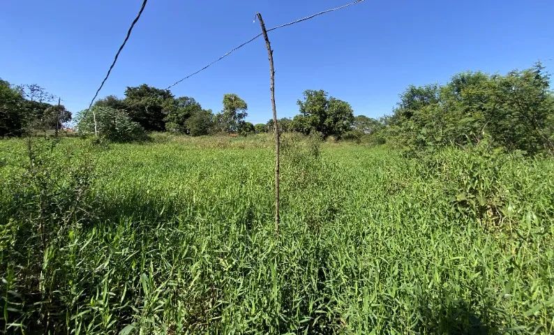CHÁCARA COM CASA NO PARQUE INDUSTRIAL JOÃO BRAZ ? DIAMANTE EM GOIÂNIA - Foto 7