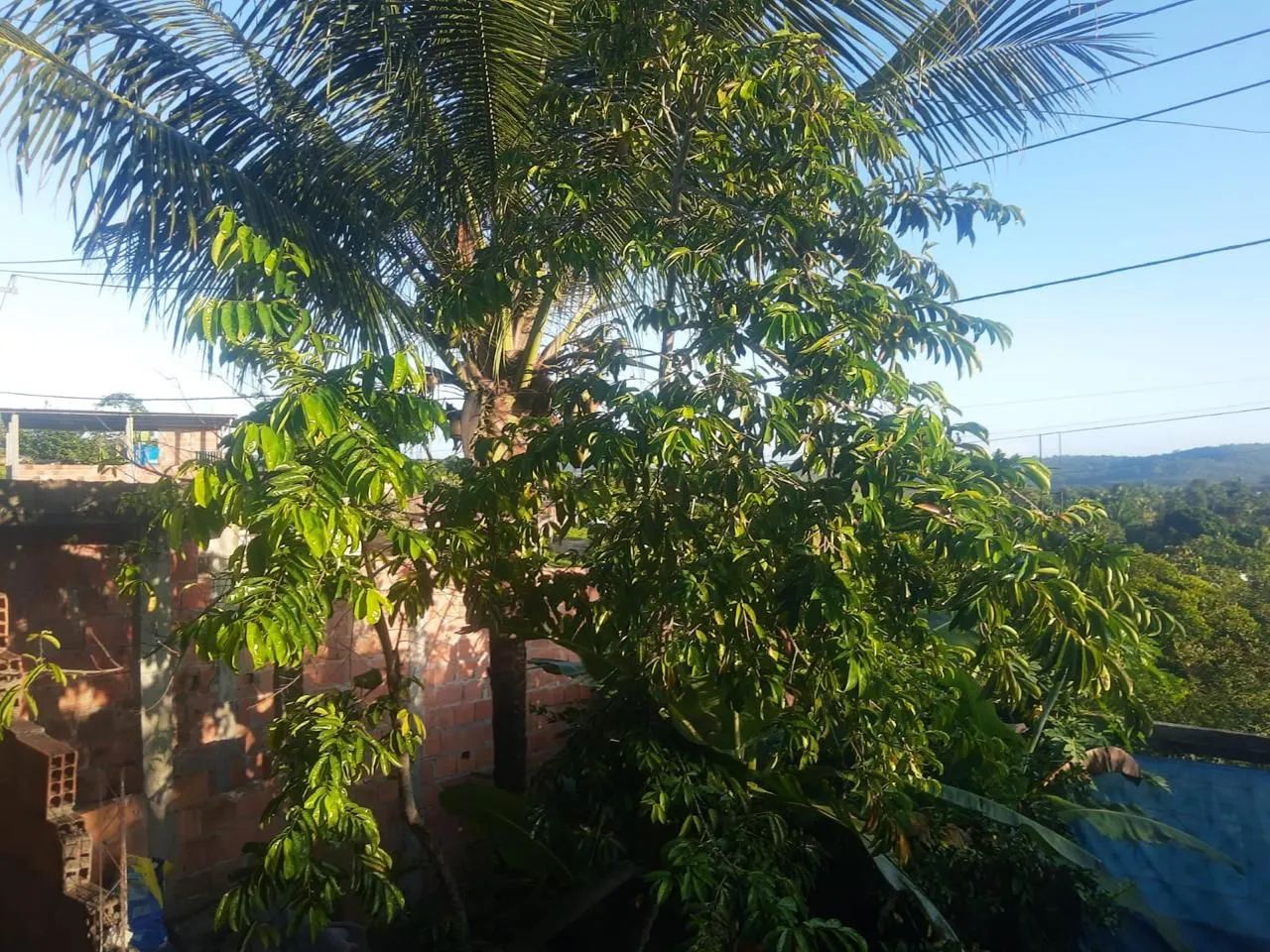 Foto - Dias D'Ávila - 