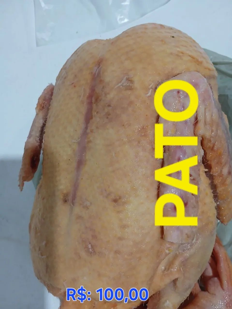 PATO - Foto 3
