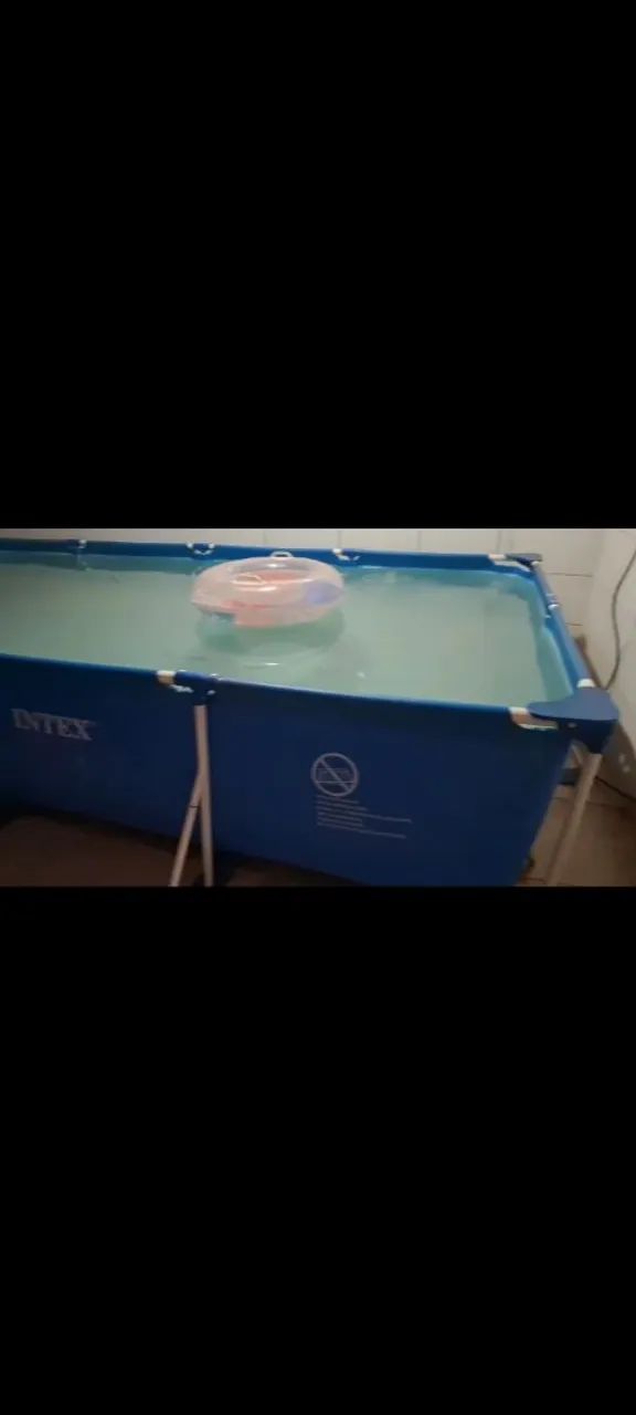Piscina Intex  - Foto 3