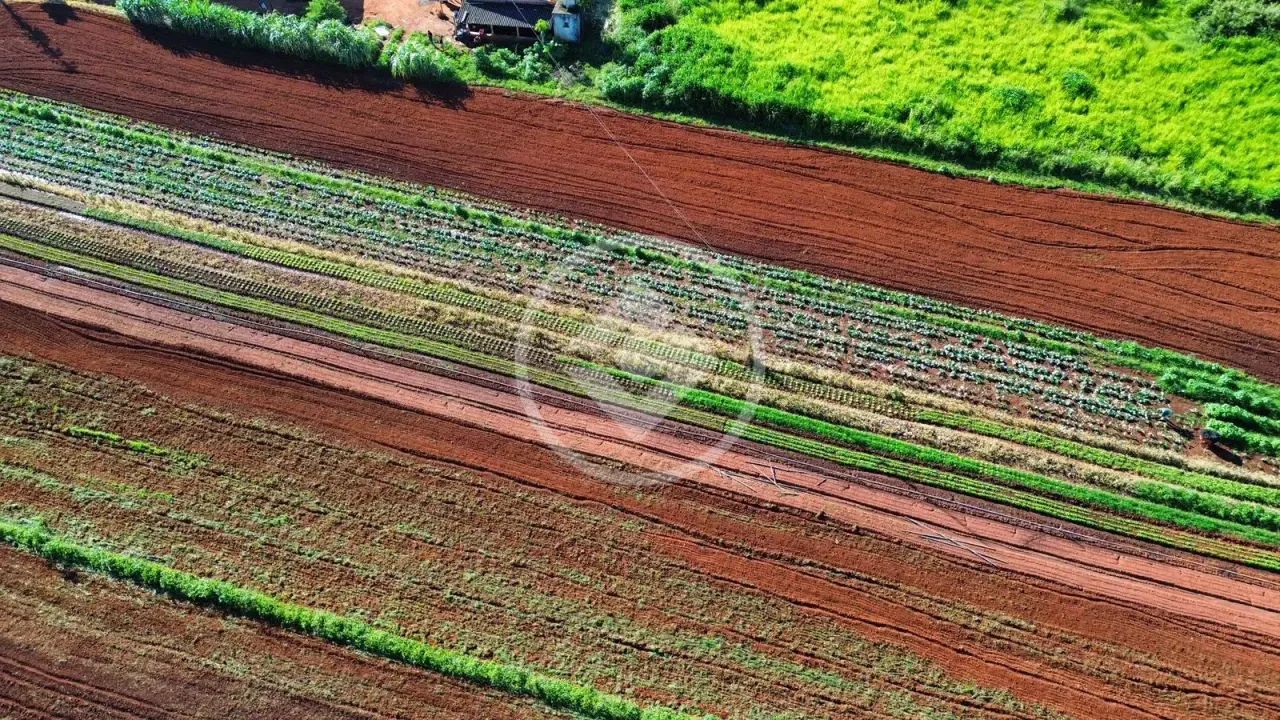 Hidrolândia - Sítio São Miguel no Setor Savannah codigo: 284453 - Foto 4