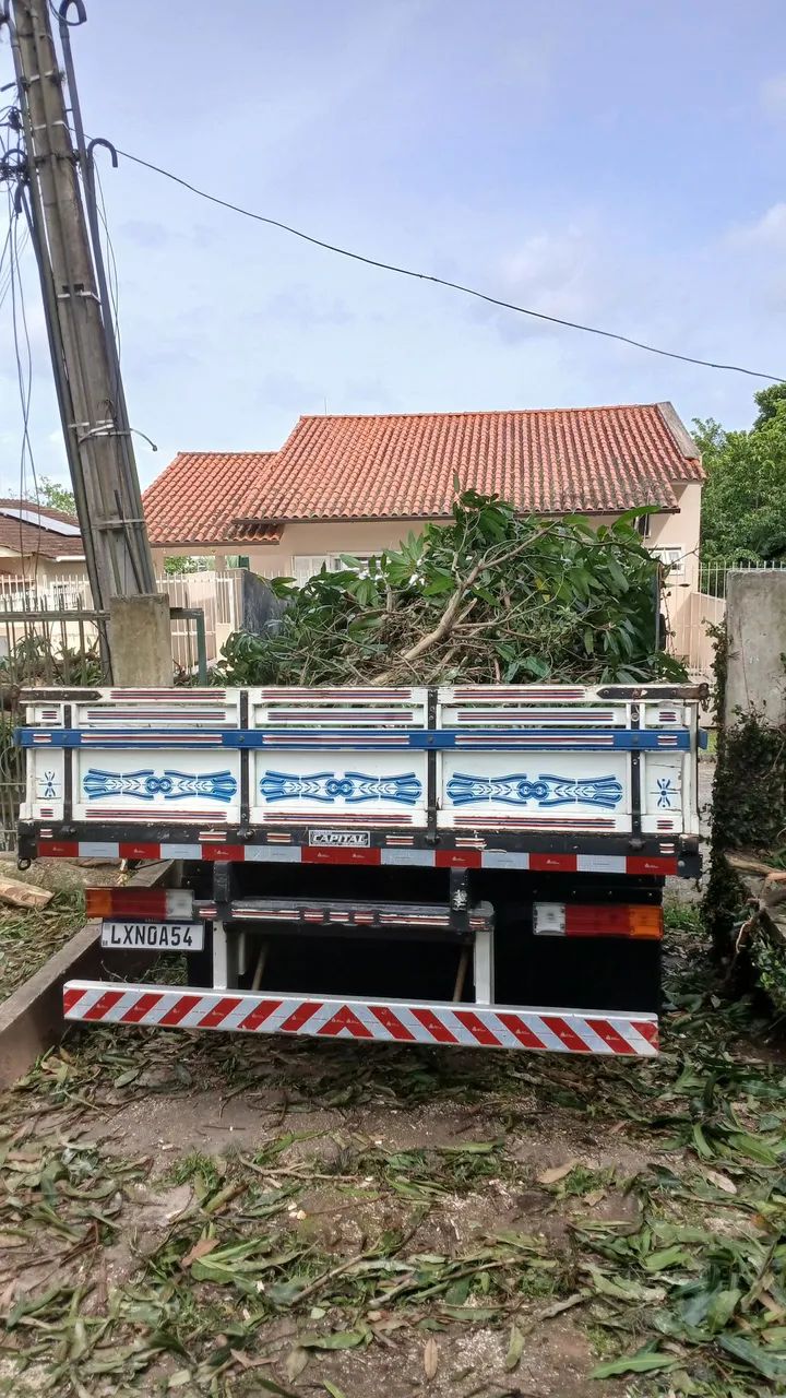 jardinagem e podas de arvores