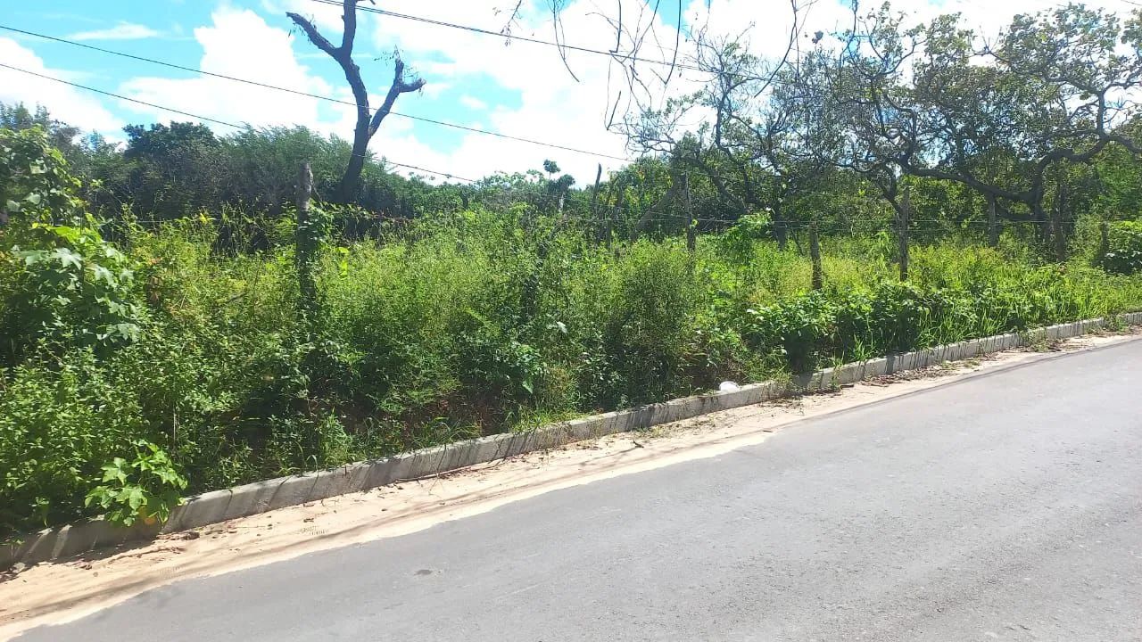 TERRENO EM BARREIRINHAS - Foto 2