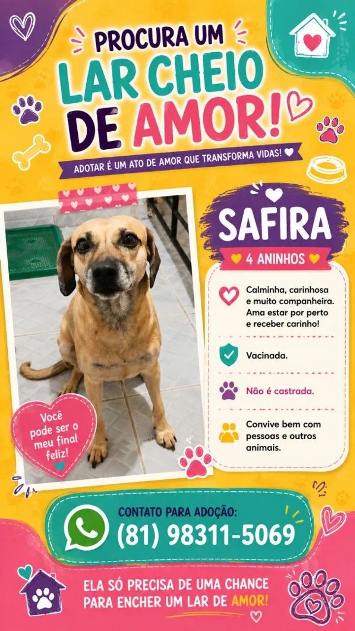 Cachorro Dócil 