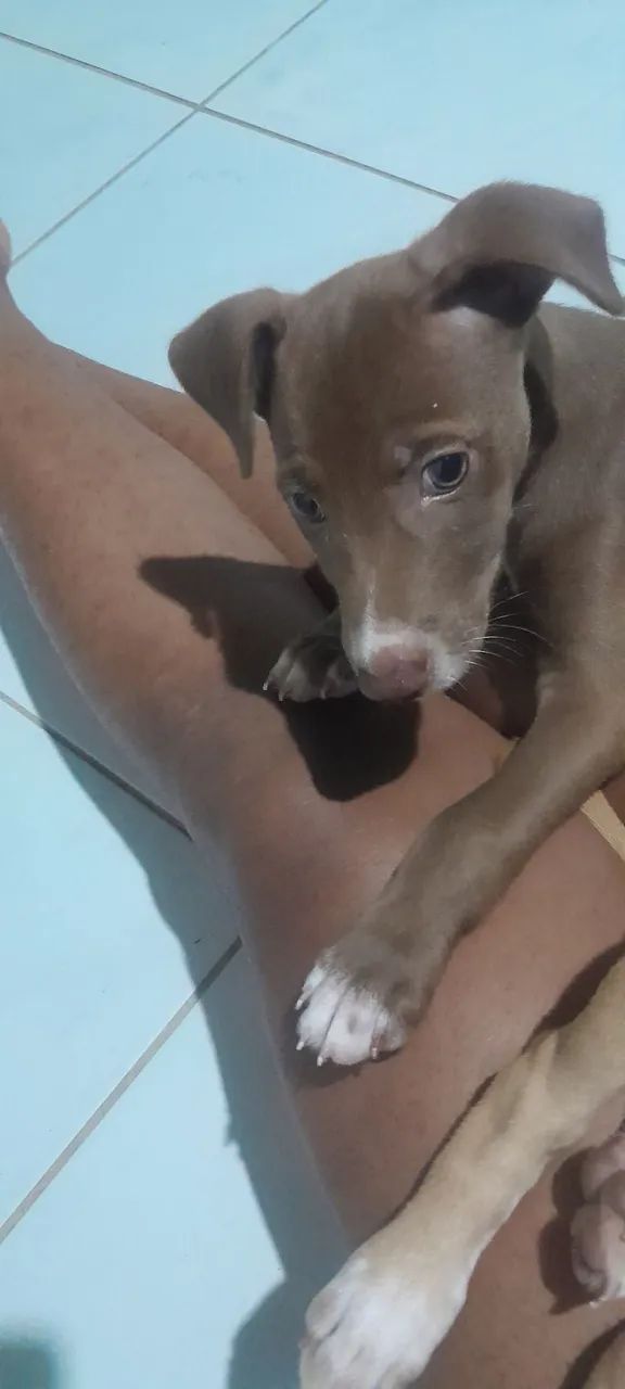 Doação  - Foto 3