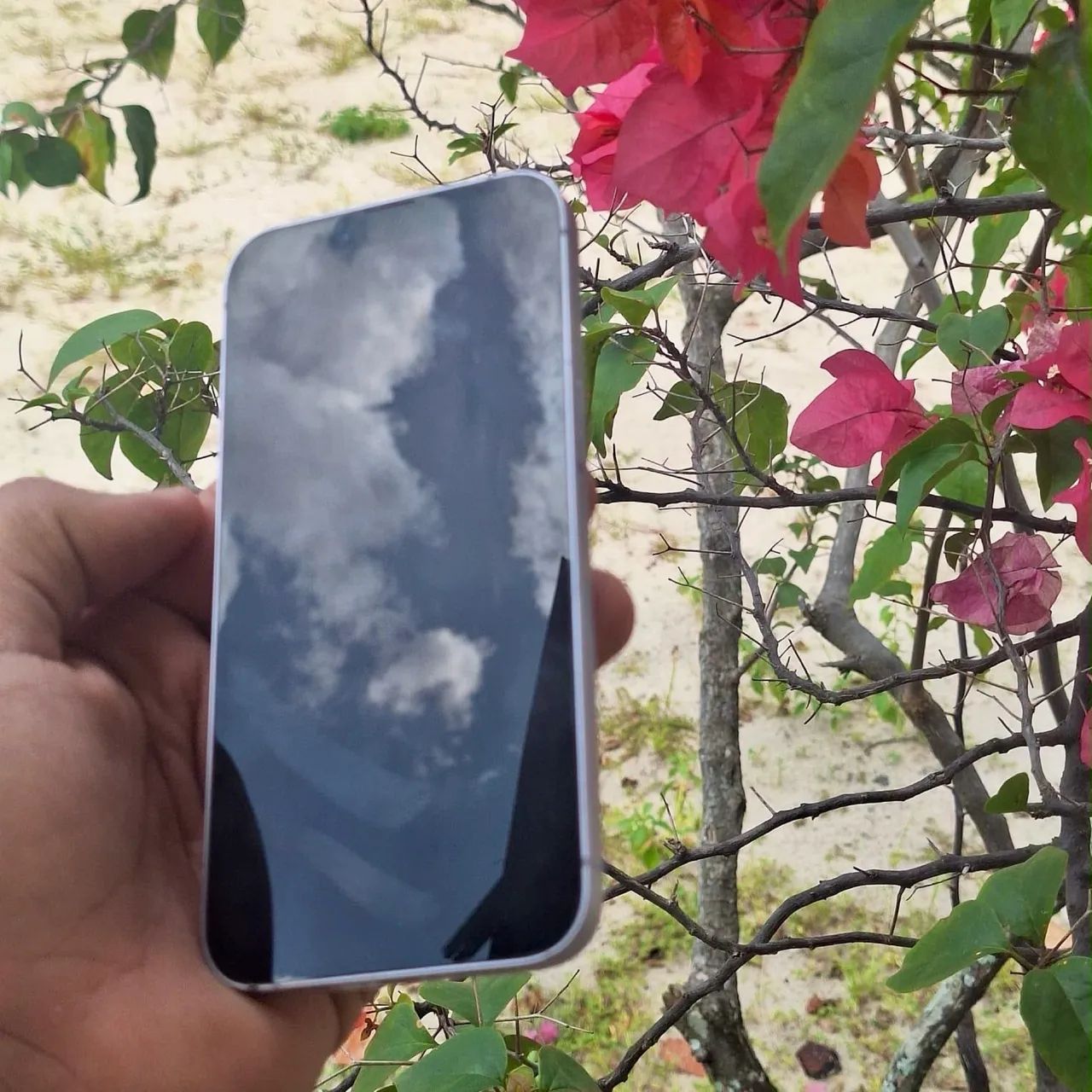 iPhone 14  - Foto 5