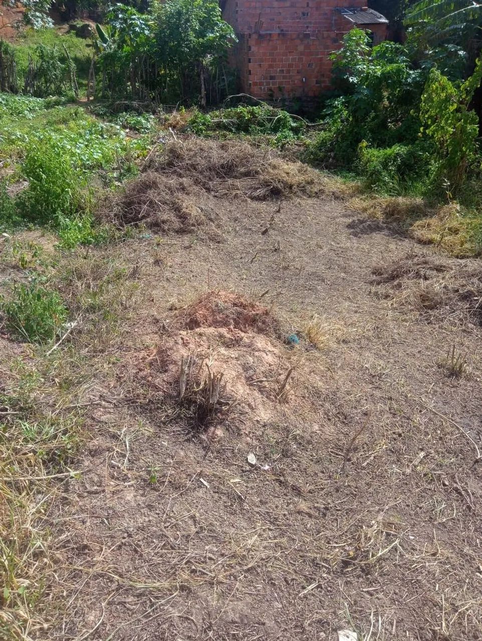 Terreno a Venda em Santo Amaro das Brotas  - Foto 3