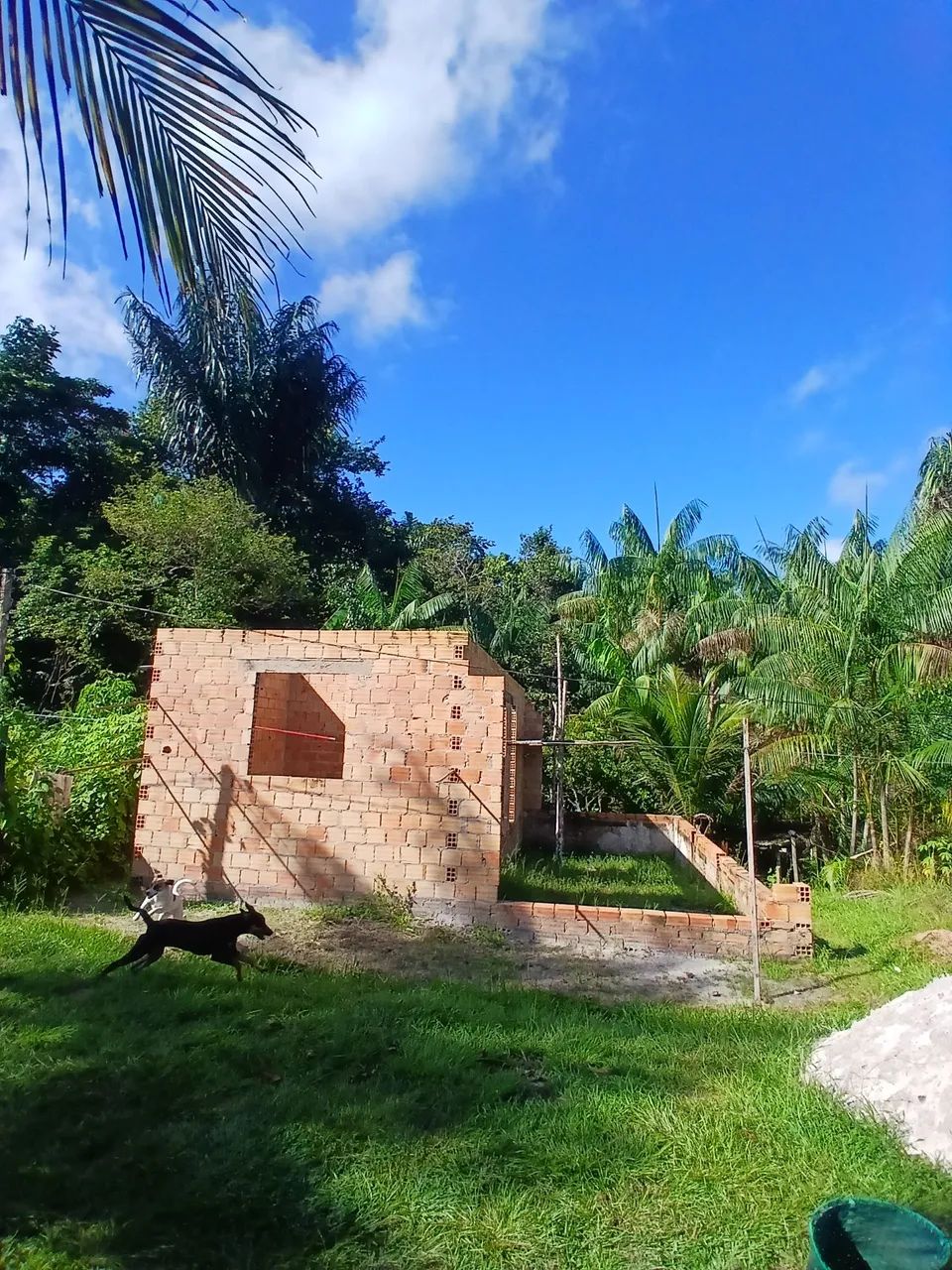 Vendo sítio 2 em 1 com duas casas dentro - Foto 3