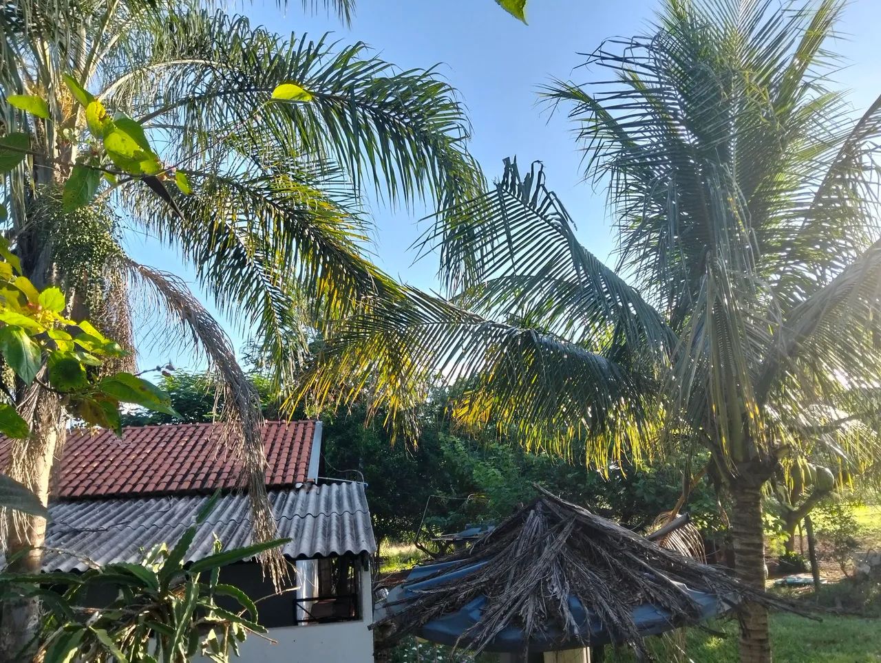 Foto - Mirandópolis - Área Rural de Mirandópolis