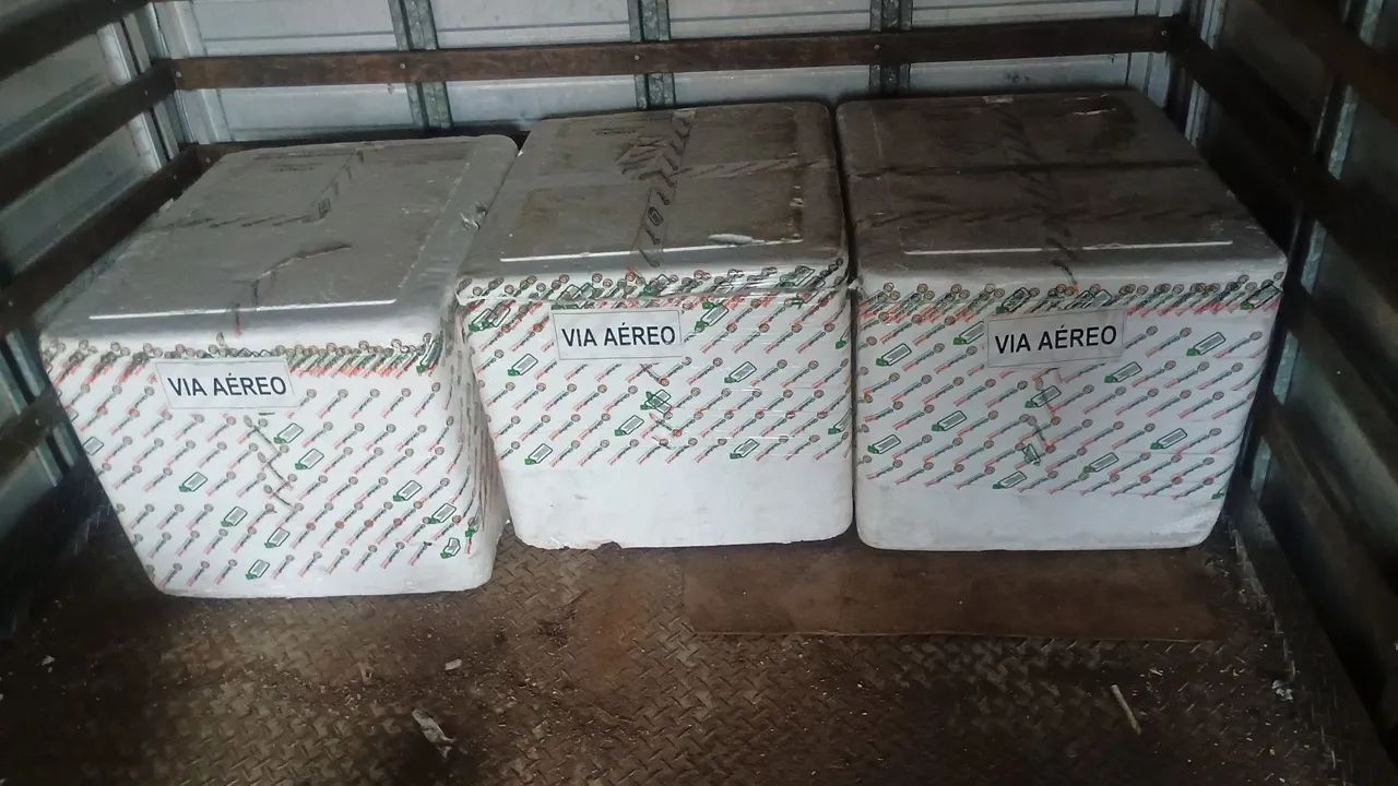 Caixa isopor 120lt. - Foto 2