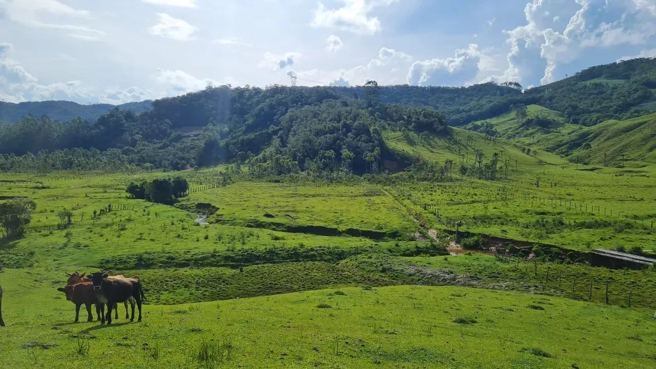 Sitio em  Águas Mornas - SC - Foto 2