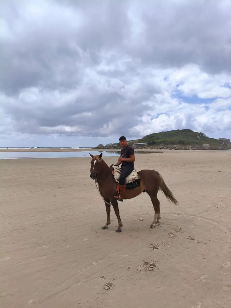 Vendo cavalo alazão  - Foto 4