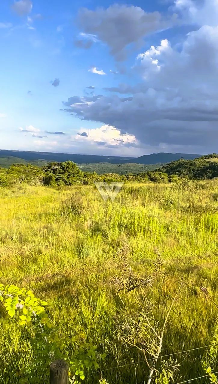 Terreno São Luiz do Purunã - Foto 4