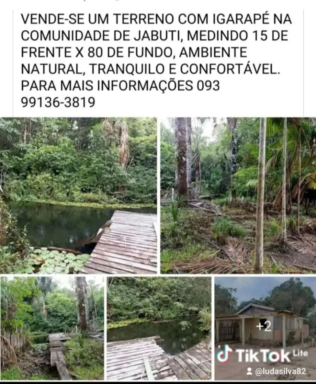 Chácara no jabuti  - Foto 2