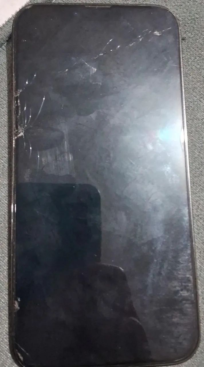 Iphone 13 pro max negócio