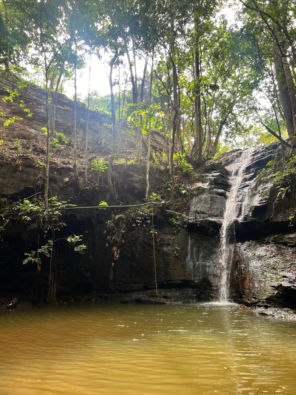 Chácara com Cachoeira  - Foto 3