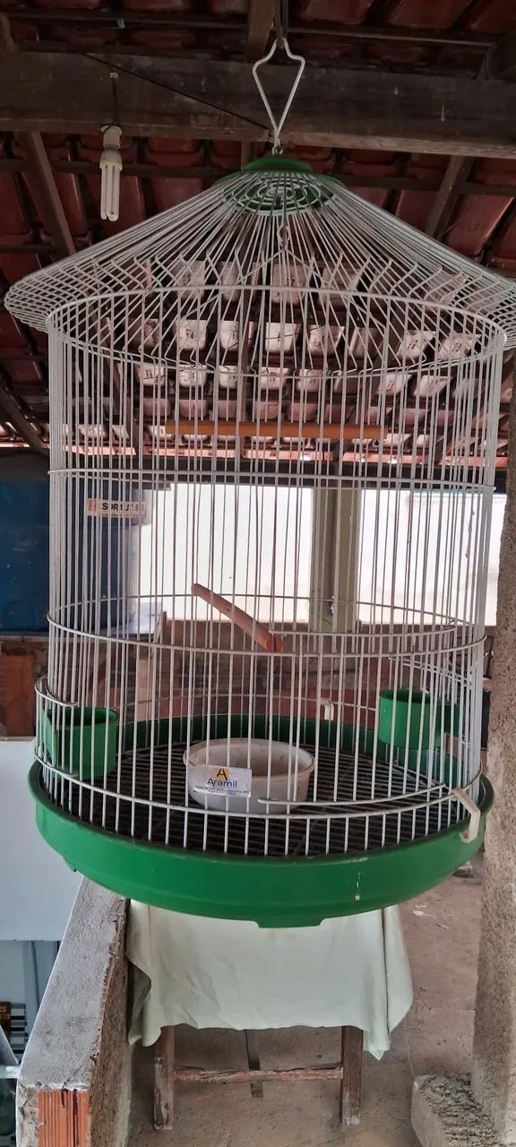 Gaiola nova