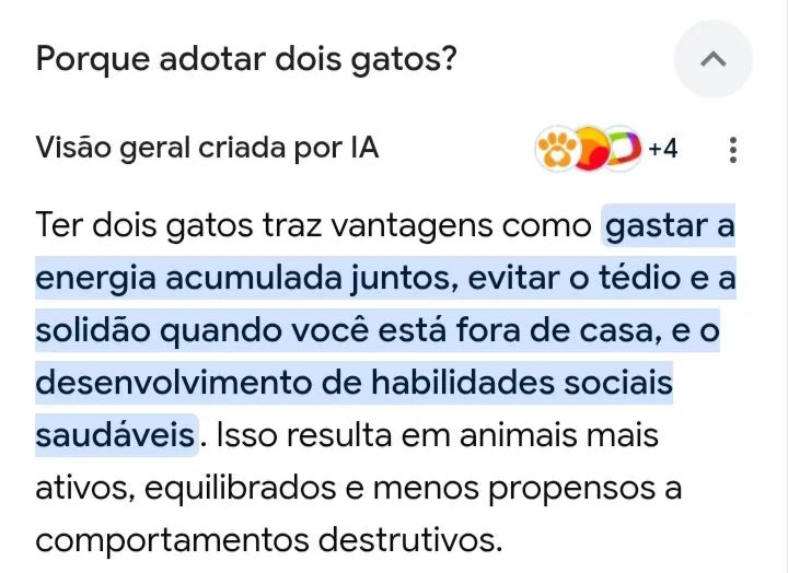 PAÇOCA E ALGODÃO  - Foto 3