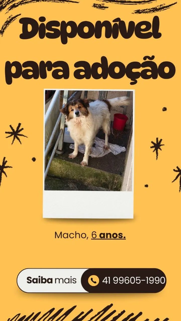 Doa se cachorro