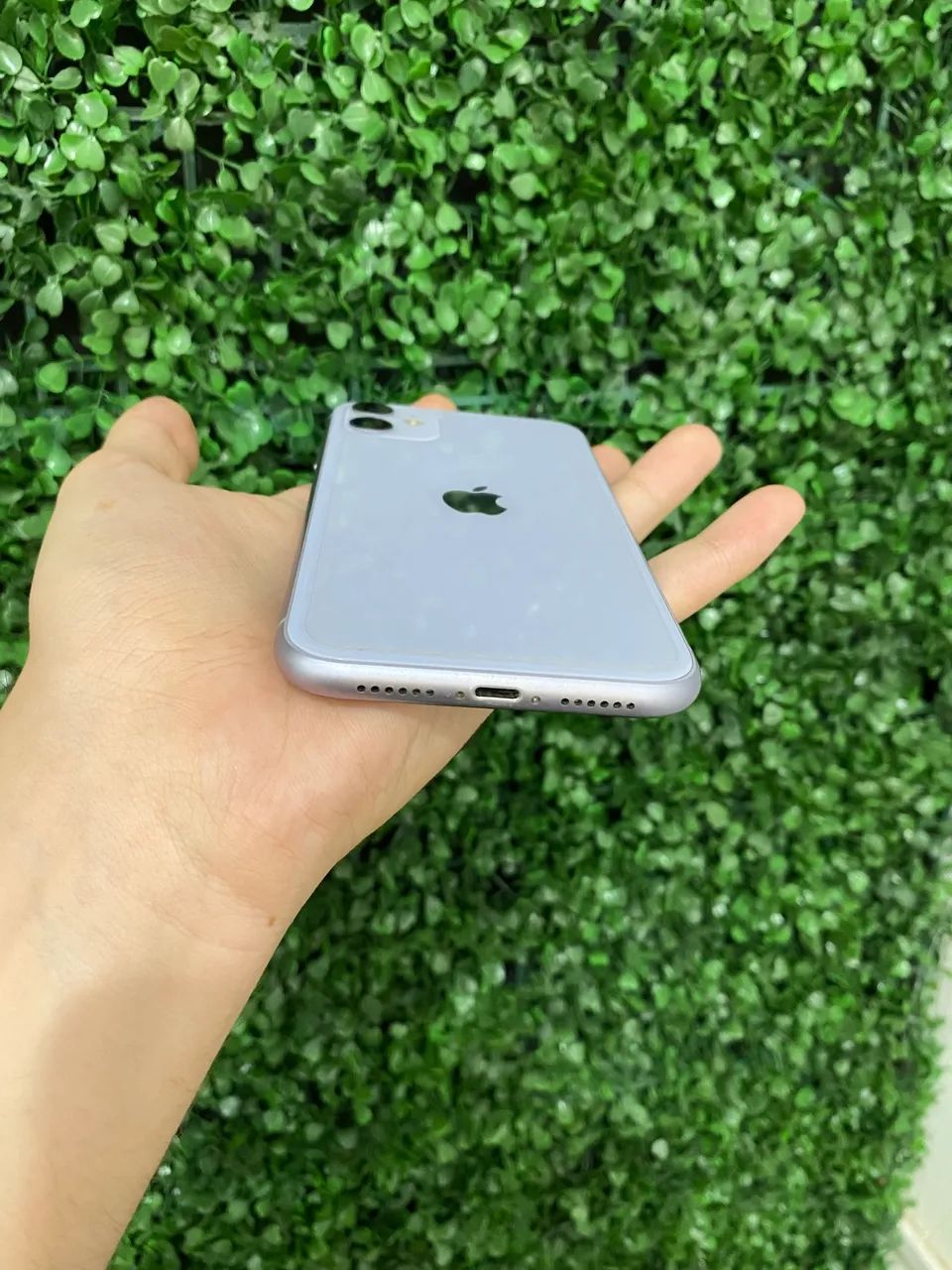 iPhone 11 64GB com caixa original - Celulares e Smartphones - Nova
