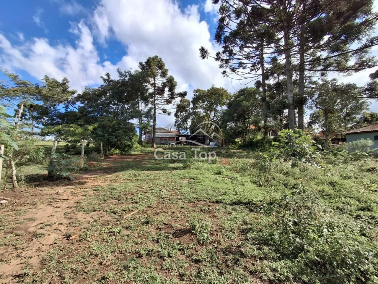 Terreno à venda Carambeí - Foto 3